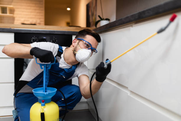 Best Ant Control Services  in Cape Charles, VA