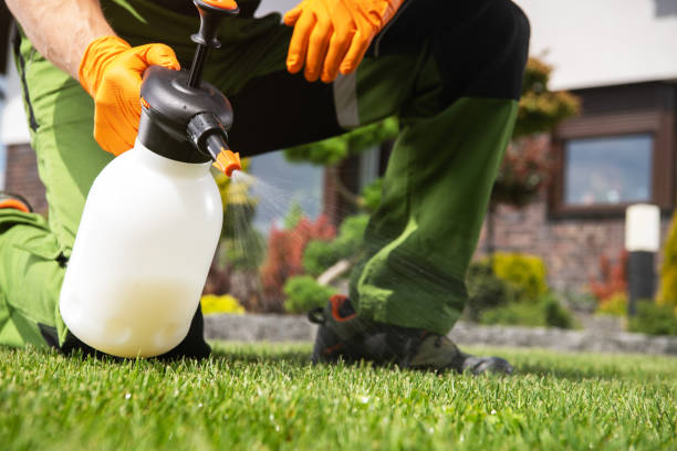 Flea Control Services in Cape Charles, VA