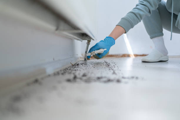Pest Control for Restaurants in Cape Charles, VA